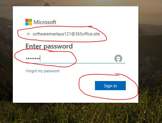 office 365 setup step by step
