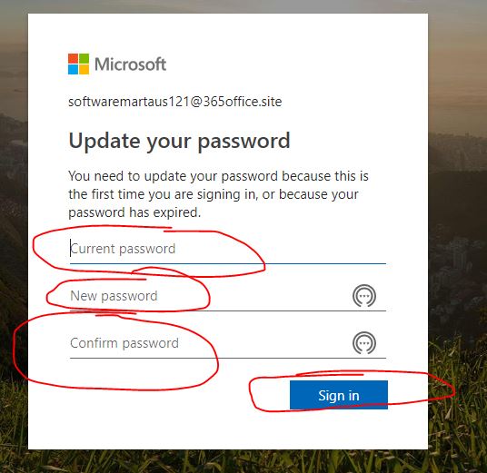 office 365 setup step by step